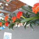 DSCN0215